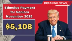 $5,108 Senior Stimulus 2025: SSA Confirms Full November Payment Schedule for Seniors