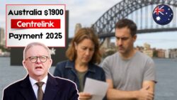 Australia’s $1,900 Centrelink Payment in November 2025: Real Facts Revealed – Check If You Qualify Now