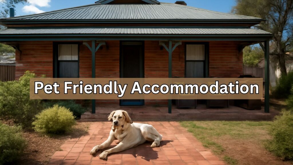 Pet Friendly Accommodation in Broken Hill
