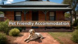 Pet Friendly Accommodation in Broken Hill – Best Options for Families & Travelers in 2025