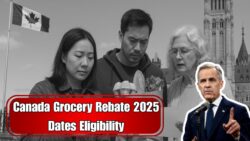 Canada Grocery Rebate November 2025: Payment Dates, Eligibility and Amount Details Released