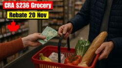 CRA $236 Grocery Rebate Rolling Out 20 Nov 2025 — Eligibility and Direct Deposit Schedule Revealed