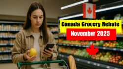 CRA to Distribute Canada Grocery Rebate on 20 Nov 2025 — Updated Payment Dates and Eligibility Explained