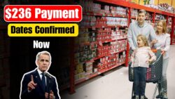 $236 Canada Grocery Rebate November 2025 — Who Gets Paid & When CRA Deposits Start