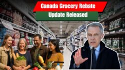 Canada Grocery Rebate November 2025 Update – Check New Payment Dates & Eligibility Rules Now