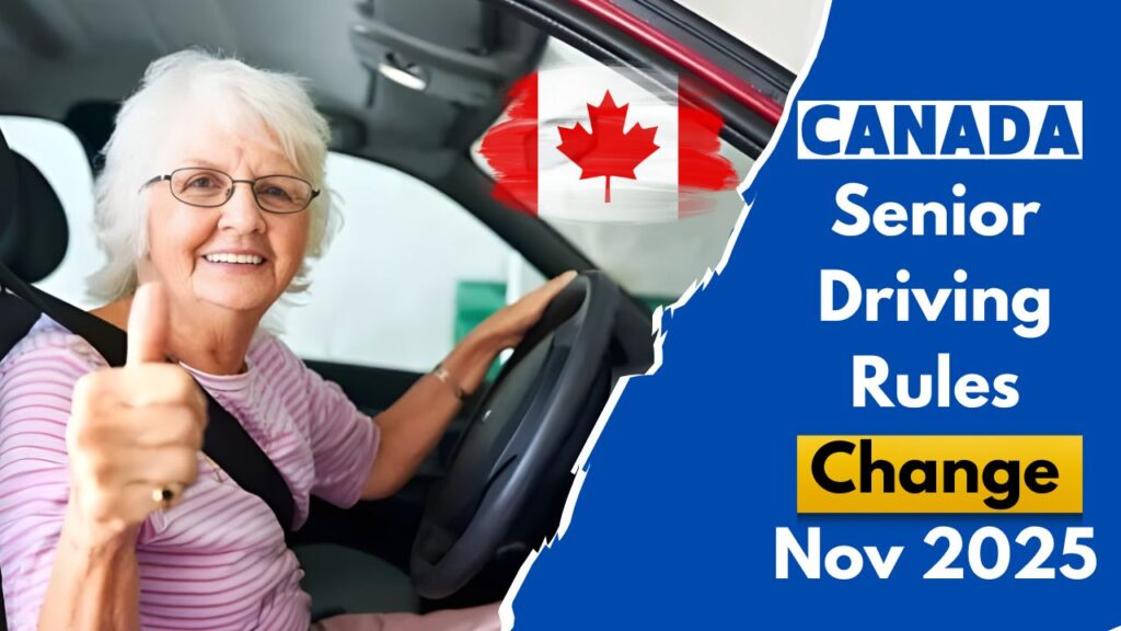 Canada Senior Driving Rules