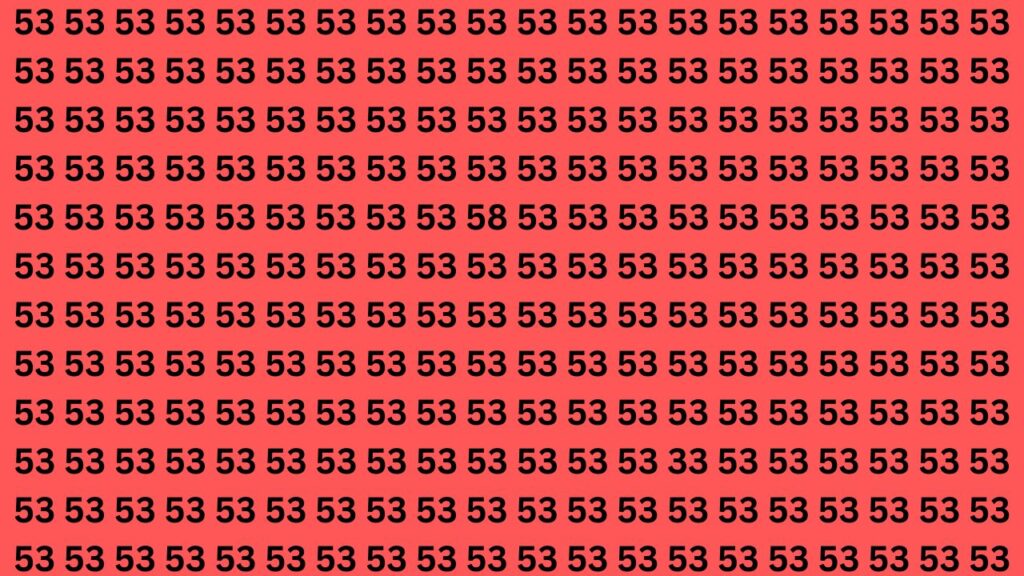 Fast Illusion Challenge