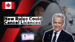 Ontario Licence Law November 2025 — New Driving Rules That Could End Your Licence