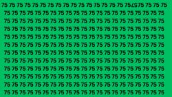 Quick 7-Second Brain Challenge: Spot the Inverted Numbers Hidden in a Sea of 75s