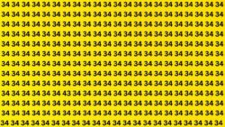 Rapid Visual Test: Can You Identify the 43 and 34 Among 34s Instantly?