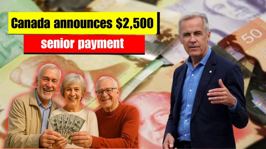 Windfall Payment for Seniors in November 2025